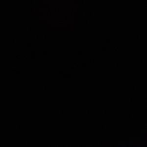 Meet your Posher, Aracely